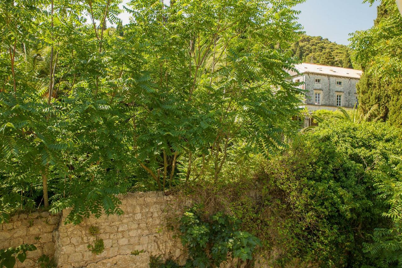 Niki Apartment Dubrovnik Exterior foto